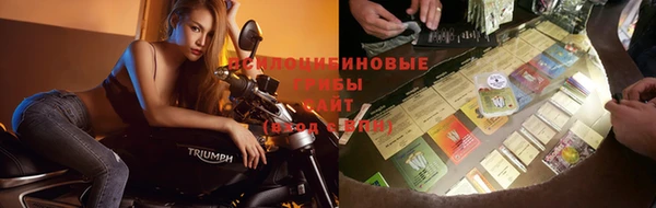 бошки Козловка