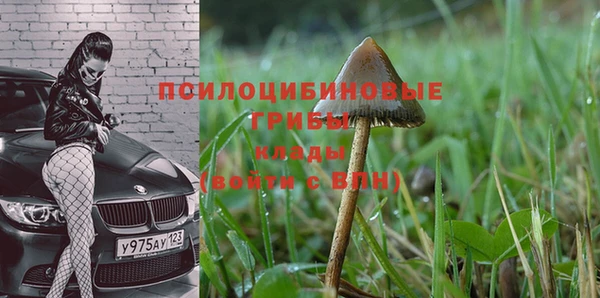 бутират Коряжма