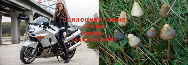 дживик Семёнов