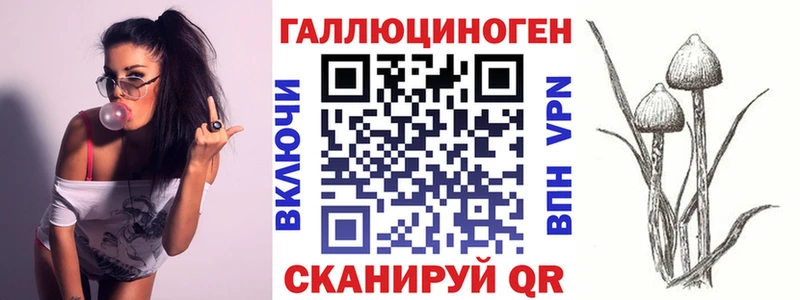Купить закладки  Хадыженск  Галлюциногенные грибы Psilocybe 